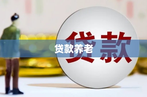 保亭贷款养老