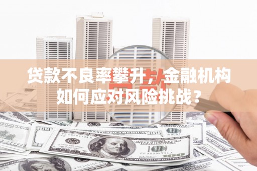 保亭贷款不良率攀升，金融机构如何应对风险挑战？