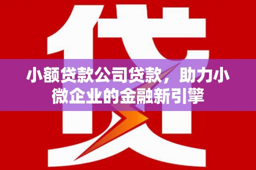 保亭小额贷款公司贷款，助力小微企业的金融新引擎