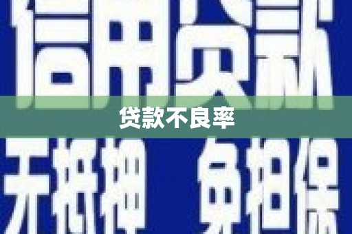 保亭贷款不良率
