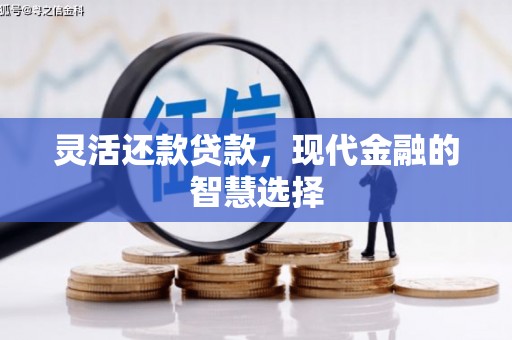 保亭灵活还款贷款，现代金融的智慧选择