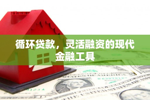 保亭循环贷款，灵活融资的现代金融工具