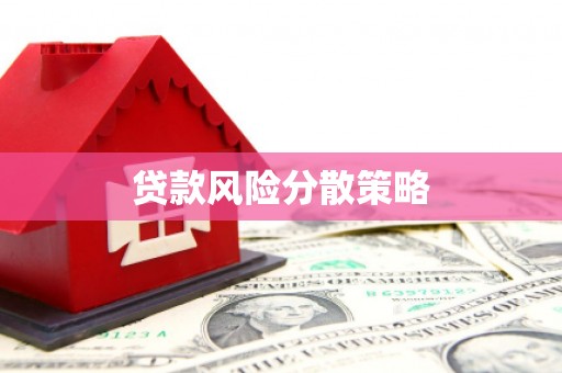 保亭贷款风险分散策略