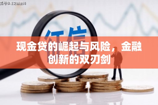 保亭现金贷的崛起与风险，金融创新的双刃剑