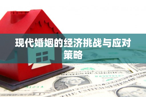 保亭现代婚姻的经济挑战与应对策略