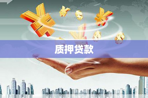 保亭质押贷款