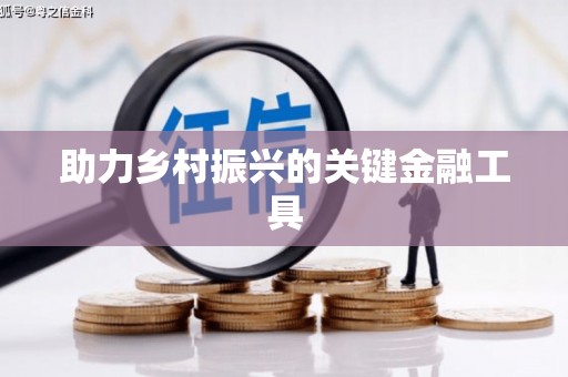 保亭助力乡村振兴的关键金融工具