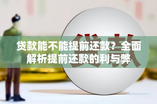 保亭贷款能不能提前还款？全面解析提前还款的利与弊