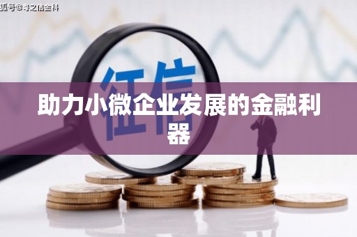 保亭助力小微企业发展的金融利器