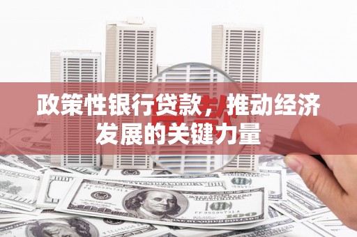 保亭政策性银行贷款，推动经济发展的关键力量