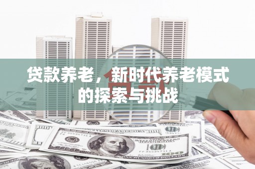 保亭贷款养老，新时代养老模式的探索与挑战