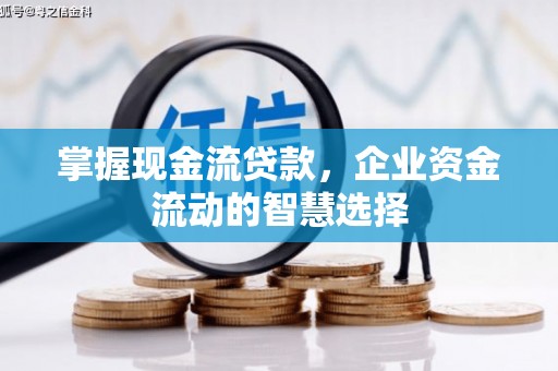 保亭掌握现金流贷款，企业资金流动的智慧选择