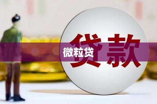 保亭微粒贷