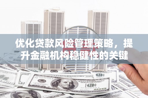 保亭优化贷款风险管理策略，提升金融机构稳健性的关键