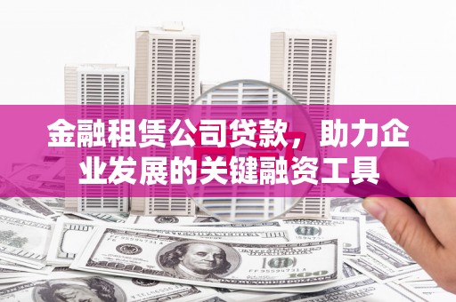 保亭金融租赁公司贷款，助力企业发展的关键融资工具