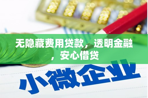 保亭无隐藏费用贷款，透明金融，安心借贷