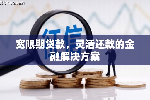 保亭宽限期贷款，灵活还款的金融解决方案