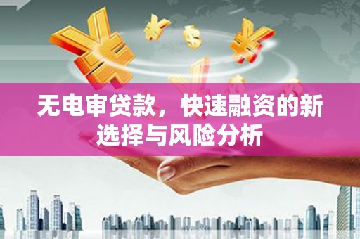 保亭无电审贷款，快速融资的新选择与风险分析