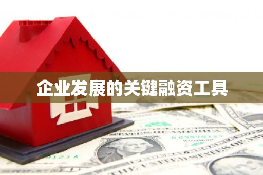 保亭企业发展的关键融资工具