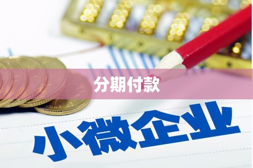 保亭分期付款