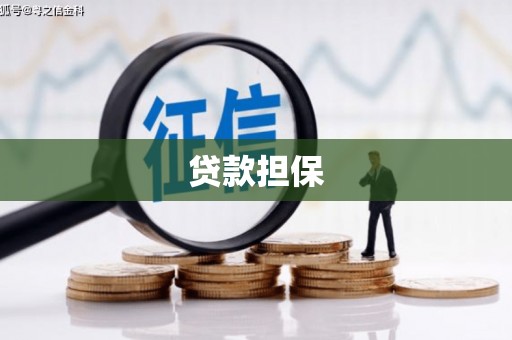 保亭贷款担保