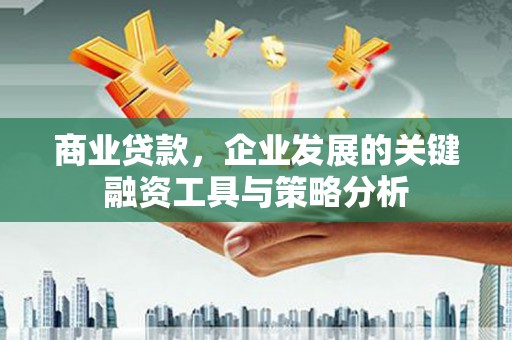 保亭商业贷款，企业发展的关键融资工具与策略分析