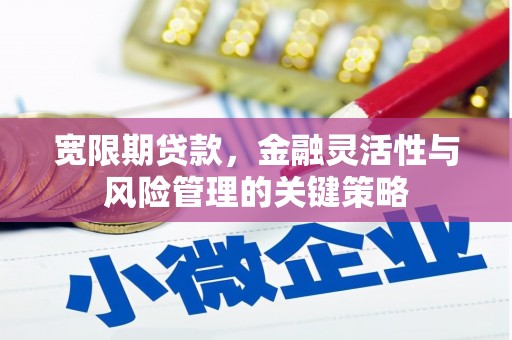 保亭宽限期贷款，金融灵活性与风险管理的关键策略