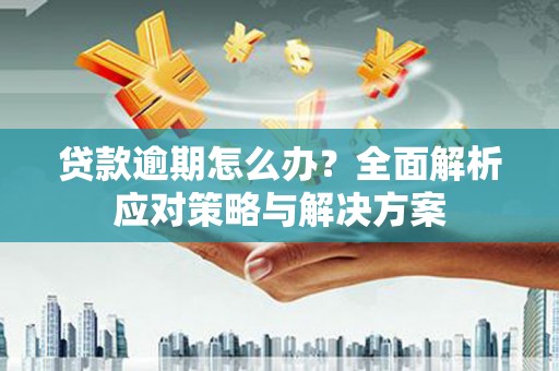 保亭贷款逾期怎么办？全面解析应对策略与解决方案