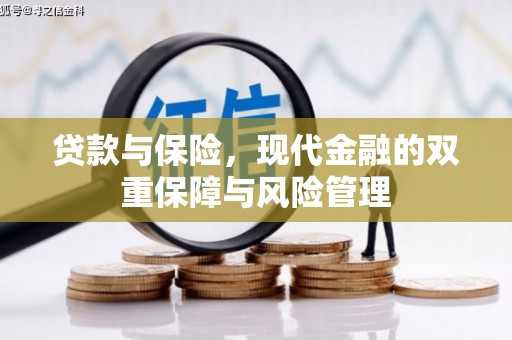 保亭贷款与保险，现代金融的双重保障与风险管理