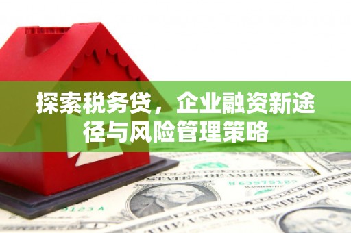 保亭探索税务贷，企业融资新途径与风险管理策略