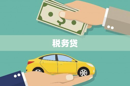 保亭税务贷