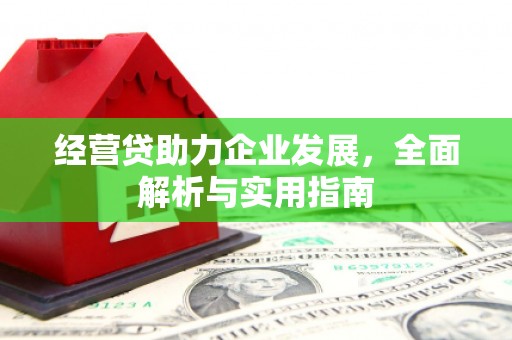 保亭经营贷助力企业发展，全面解析与实用指南