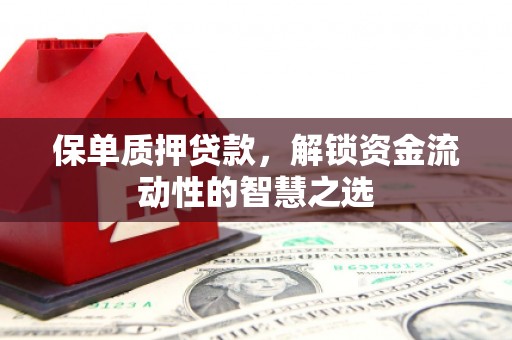 保亭保单质押贷款，解锁资金流动性的智慧之选