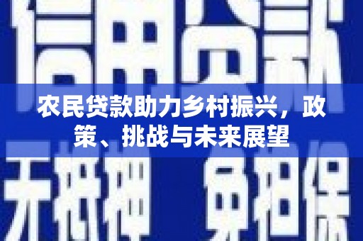 保亭农民贷款助力乡村振兴，政策、挑战与未来展望