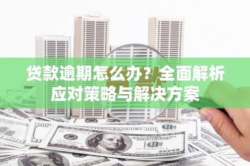 保亭贷款逾期怎么办？全面解析应对策略与解决方案