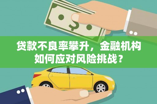 保亭贷款不良率攀升，金融机构如何应对风险挑战？