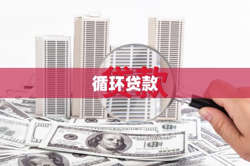 保亭循环贷款