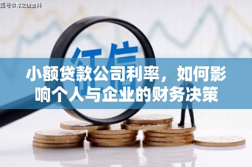 保亭小额贷款公司利率，如何影响个人与企业的财务决策