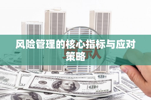 保亭风险管理的核心指标与应对策略