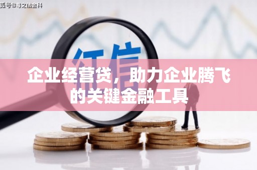 保亭企业经营贷，助力企业腾飞的关键金融工具