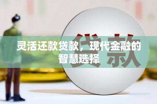 保亭灵活还款贷款，现代金融的智慧选择