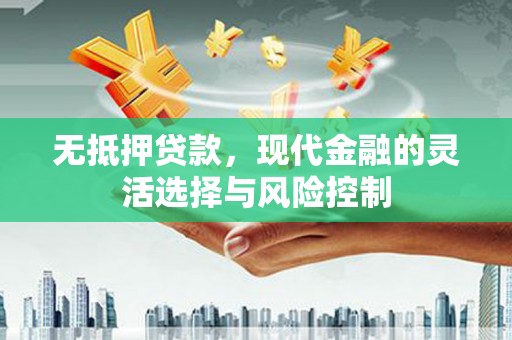 保亭无抵押贷款，现代金融的灵活选择与风险控制
