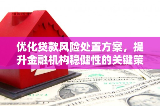 保亭优化贷款风险处置方案，提升金融机构稳健性的关键策略
