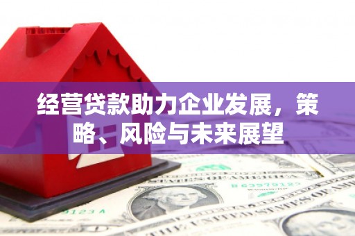 保亭经营贷款助力企业发展，策略、风险与未来展望