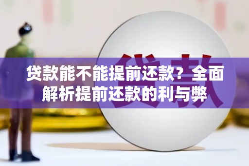 保亭贷款能不能提前还款？全面解析提前还款的利与弊