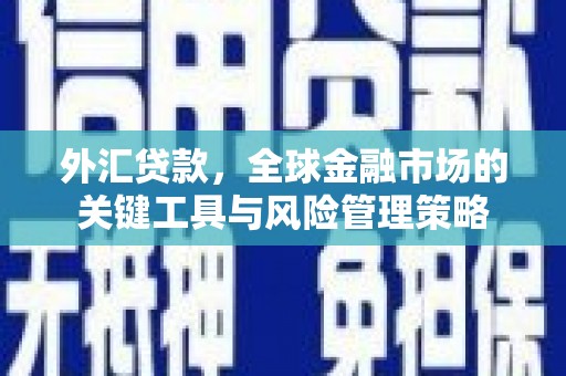 保亭外汇贷款，全球金融市场的关键工具与风险管理策略