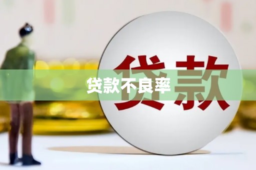 保亭贷款不良率