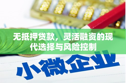 保亭无抵押贷款，灵活融资的现代选择与风险控制