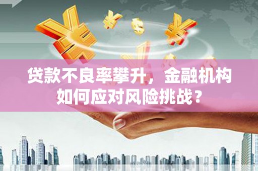 保亭贷款不良率攀升，金融机构如何应对风险挑战？