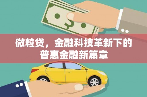 保亭微粒贷，金融科技革新下的普惠金融新篇章